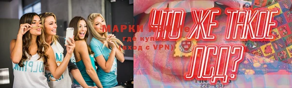 ГАЛЛЮЦИНОГЕННЫЕ ГРИБЫ Алзамай