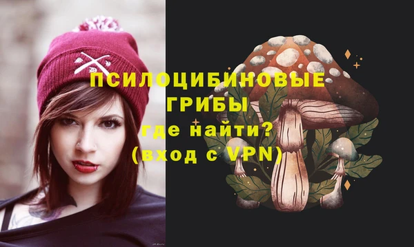 ешки Алексеевка