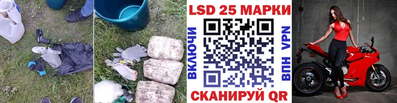 где купить наркоту  Алексин  кракен как войти  LSD-25 экстази кислота 