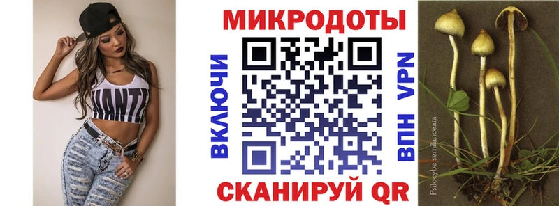 Псилоцибиновые грибы мухоморы Алексин