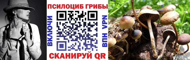 МЕГА зеркало  купить   Алексин  Галлюциногенные грибы GOLDEN TEACHER 